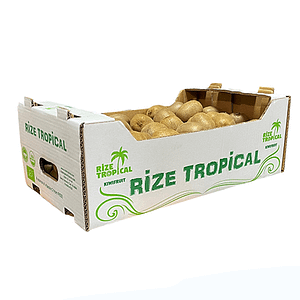 RizeTropikal-Carton-Box-Kiwi