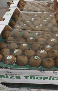 rizetropikal-kiwifruit-carton-2viyol