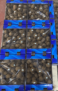 rizetropikal-kiwifruit-carton-box